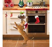 Festive Fun Dachshund in Santa Hat Balancing a Xmas Pudding - Photographic Art - Premium Charity Pack of 5 Christmas & New Year Cards - XP100AFF