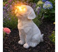 Festive Lights - 20cm Solar Stone Effect Dog with Butterfly Memorial Light - Warm White LED, Weather Resistant Polyresin, Outdoor Garden Tribute Ornament - Integrated Panel, Automatic Night Glow