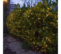 Festive Lights - ConnectGo Connectable Fairy Net Lights, Indoor & Outdoor, Dark Green Cable, Mains Powered Plug in Decorative Garden Lights (2m x 2m, No Plug)