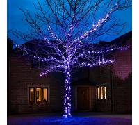 Festive Lights - ConnectGO Connectable Outdoor Fairy Lights - Mains Powered LED String Lighting - Christmas, Garden, Wedding & Party (Blue, 15m)