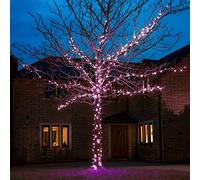 Festive Lights - ConnectGO Connectable Outdoor Fairy Lights - Mains Powered LED String Lighting - Christmas, Garden, Wedding & Party (Purple, 100m)