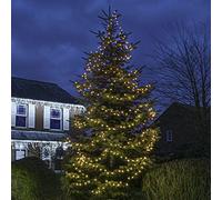 Festive Lights - ConnectGo® Outdoor LED Berry Lights, Connectable, Dark Green Cable - Warm White LEDs (50m, Without Plug)