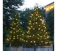 Festive Lights - ConnectPro® 10m Large Pinecone String Fairy Lights - 50 Warm White LEDs - IP65 Mains Powered Connectable System - Black Heavy Duty Rubber Cable