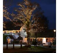 Festive Lights - ConnectPro Outdoor LED String Fairy Lights - Connectable - IP65 Rubber Black Cable | Wedding, Christmas, Garden, Commercial, Party (Multicolour w/Plug, 100m)