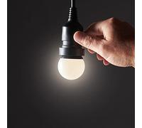 Festive Lights FestoonPro 2W E27 Frosted Super Bright SMD LED Decorative Festoon Light Bulb (Warm White)