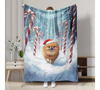 Festive Pomeranian Flannel Blanket, Red Winter Dog Holiday Throw Blanket, Xmas Soft Cozy Warm Blanket for Sofa, Bed, All Season 60x80 Inch
