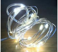 Festive Productions 20L Warm White LED Naked Silver Wire Lights