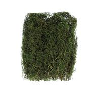 Festive Productions Bag of Foam Moss - Green Colour - 100 Grams - Autumn Decoration Moss Themed Décor Prop - Autumnal Decoration - Perfect for Home, Kitchen, Living Room, Halloween