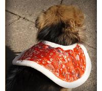 Festives Pet Chinese Cloaks Set Lions Dance Clothes Spring Festival Pet Outfit For Warmth And Comfort