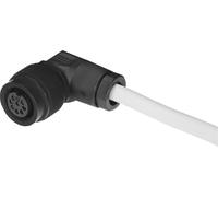 Festo Plug Socket With Cable M16x0.75 EN 61076-2-106 5m - 161878
