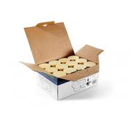 Festool Natural Edge Bander Adhesive Glue EVA nat 48X-KA 65 499812