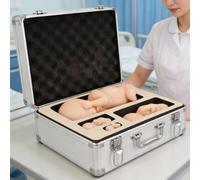 Fetal Model Set for Educational Demonstration - Male Neonatal Prematurity Model, Stages of Embryonic Development (12, 16, 22, 30 Weeks)