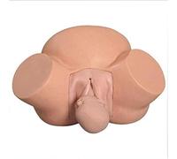 Fetal Model Training Simulator for Midwifery, Childbirth Teaching Manikin for Delivery Position, Abnormal and Normal Fetus Demonstration Model