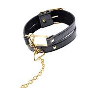 Fetish Fantasy Gold Collar and Leash