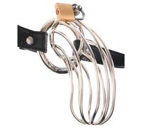 Fetish The Prisoner - Metal Chastity Cage (Silver)