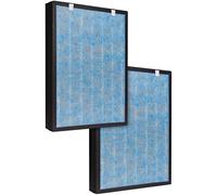 Fette Filter - HSP002 True HEPA Air Purifier Replacement Filter Compatible with HSP002 (Pack of 2)