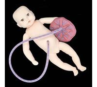 Fetus/Umbilical Cord/Placenta Baby Model, Baby Nursing Training Mannequins with Umbilical Cord and Placenta, Real Care Infant Simulator, for Childbirth Teaching Study Display(Girl)