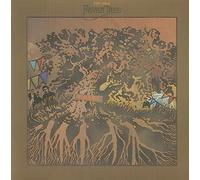 fever tree - for sale