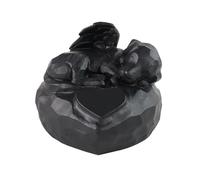FewNvWa Pet Urn Memorial Box Remembrance Organizer Large Capacity Garden Pet Supplies