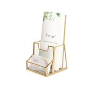 Feyarl Glass Brochure Holder Gold Leaflet Holder Stand Literature Holder Flyer for 4" Trifold Holder Clear Display Stand with Business Card Holder for Brochures Display Countertop