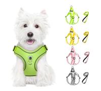 Feycig Dog Harness for Small Dogs, Anti-Pull Adjustable, Reflective Harness, Breathable, Soft, Mesh Harness, Dog Lightweight Puppy Harness, Chest Harness with Handle (Green, X-Small)