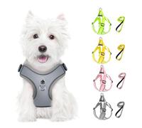 Feycig Dog Harness for Small Dogs, Anti-Pull Adjustable, Reflective Harness, Breathable, Soft, Mesh Harness, Dog Lightweight Puppy Harness, Chest Harness with Handle (Grey, Medium)