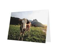 FEYUNYAN All-Occasion Greeting Cards With Dark Green Envelope, Pasture Cows, Blank Inside Thank You Cards Set, Luxury Pearl Paper Eco-Friendly Blank Note Cards For Wedding Birthday Christmas