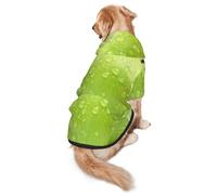 FEYUNYAN Cozy Fleece-Lined Hoodie With Hidden Leash Hole & Pocket For Medium Large Dogs, Cyan Fruit, Pet Hooded Sweatshirt, Winter Dog Clothes For Outdoor Walks