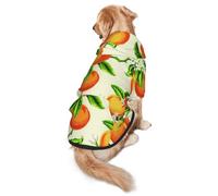 FEYUNYAN Cozy Fleece-Lined Hoodie With Hidden Leash Hole & Pocket For Medium Large Dogs, Yellow Blossom Orange Fruits, Pet Hooded Sweatshirt, Winter Dog Clothes For Outdoor Walks