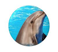FEYUNYAN Durable Badge For Jackets Bags Gifts, Vibrant Tinplate Collectible Badges For Events, Teachers, Friends, Funny Dolphin Round Badge, Bulk Iron-On Patches Alternative, 5 Pcs