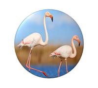 FEYUNYAN Durable Badge For Jackets Bags Gifts, Vibrant Tinplate Collectible Badges For Events, Teachers, Friends, Pink Flamingo In Water Round Badge, Bulk Iron-On Patches Alternative, 20 Pcs