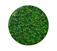 FEYUNYAN Durable Badge For Jackets Bags Gifts, Vibrant Tinplate Collectible Badges For Events, Teachers, Friends, Green Leaves Wall Round Badge, Bulk Iron-On Patches Alternative, 5 Pcs