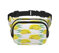 FEYUNYAN Large Square Waist Pack, Double-Layer Crossbody Fanny Pack, Water-Resistant Twill Bag with Adjustable Belt & Anti-Theft Pocket for Hiking, Cycling, Yellow Lemon, 23x16cm