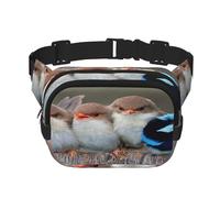 FEYUNYAN Large Square Waist Pack, Double-Layer Crossbody Fanny Pack, Water-Resistant Twill Bag with Adjustable Belt & Anti-Theft Pocket for Hiking, Cycling, Four Birds, 23x16cm