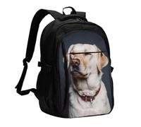 FEYUNYAN Large USB Charging Travel Backpack, 40L Anti-Theft Laptop Backpack for Men & Women, cute Labrador Dog Multi-Pocket Hiking Pack, Water-Resistant School Bag for Work, Hiking & Camping