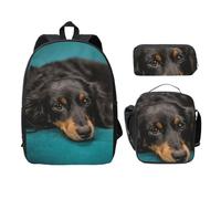 FEYUNYAN School Backpack for Girls and Boys, Dachshund Dog Print School Bag Set of 3, 15 Inch Laptop Backpack, Insulated Lunch Bag, Pencil Case, Middle Schoolbag for Teen Youth Students
