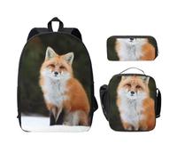 FEYUNYAN School Backpack for Girls and Boys, Funny Fox Print School Bag Set of 3, 15 Inch Laptop Backpack, Insulated Lunch Bag, Pencil Case, Middle Schoolbag for Teen Youth Students