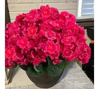 Fezaphy 6 Bundles Artificial Flower Plants Outdoor UV Resistant Hot Pink Geraniums Plants Outdoor Artificial Geranium Silk Flowers in Planter for Garden Balcony Front Porch Window Decorations