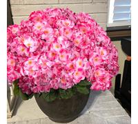 Fezaphy 6 Bundles Artificial Flower Plants Outdoor UV Resistant Pink Fake Geraniums Plants Outdoor Artificial Geranium Silk Flowers in Planter for Garden Balcony Front Porch Window Decorations