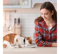 FFDHWU 2 Pieces Star Moon Cat Collars And 2 Pieces Leashes, Cute Pet Collars, Adjustable Cat Collars, Glow-In-The-Dark Cat Collars