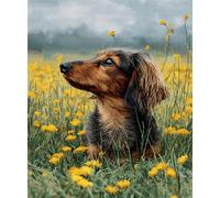 FFDONGTEGO Discover The Joy of Crafting with Latch Hook Rug Kits,Dachshunds in The Grass,Gift for Crafters & DIY Lovers,Create Unique Floor Art Effortlessly,52x38cm