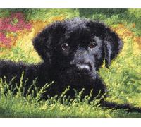 FFDONGTEGO DIY Crochet Rug for Adults,Animal Dogs,Labrador Retrievers on The Grass,Printed Canvas Crochet Yarn Craft Hook and Latch Tapestry for Home Decor Pets Warm Pads,52x38cm