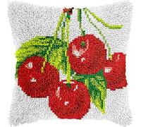FFDONGTEGO Latch Hook Kits for Adults,Beginners,Fruit Cherry,Latch Hook Pillow Kit Pre-Printed Cross-Stitch Cushion for Home Sofa Decoration 17x17 in. Handmade Gift