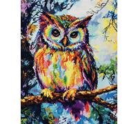FFDONGTEGO Rug Making Kits,DIY Latch Hook Kits,Animals and Birds,Colorful Owls,Pre Printed Crochet,Cross Stitch Sofa Cushion Cover for Adults Beginner Home Decor,52x38cm