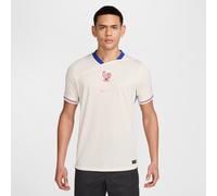 FFF 2025 Stadium Away (Women's Team) Men's Nike Dri-FIT Soccer Replica Jersey - Brown - Polyester XXL