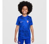 FFF Academy Pro Older Kids' Nike Dri-FIT Football Pre-Match Short-Sleeve Top - Blue - Polyester L