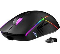 FFJ Wireless Gaming Mouse, 24000 DPI, Tri-Mode 2.4G/USB-C/Bluetooth 5.3 Gaming Mouse Wireless, RGB Programmable Mouse Gamer, 75Hrs Battery Life, Rechargeable Gaming Mice for PC, Mac, PS5, Xbox - Black