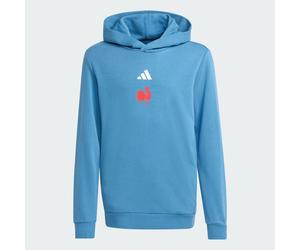 FFR Hoodie KIDS