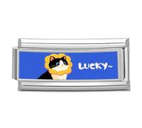 FGDTREE Italian Charm Link Jewelrys Making Part Module Accessaries Photo Theme Bracelets Making Supplies for Jewelry Photo Charm