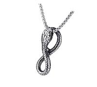 FGDTREE Ouroboros Snake Pendant Necklace Eye Catching Stainless Steel Snake Necklace with Gothic Charm for Men and Women Gothic Punk Jewelry
